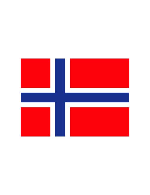Norsk-flagg