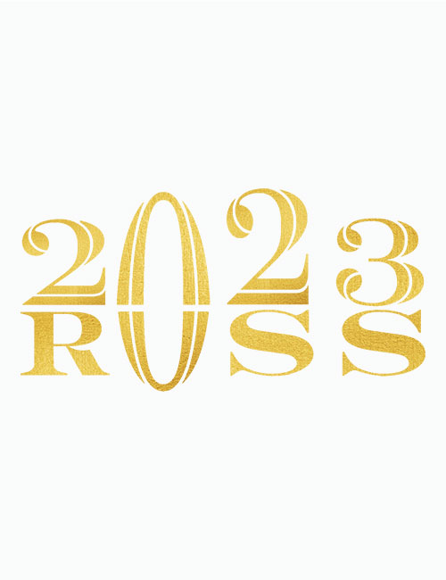 Strykemerke Russ-2023-Gull