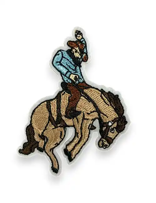 Cowboy rodeo